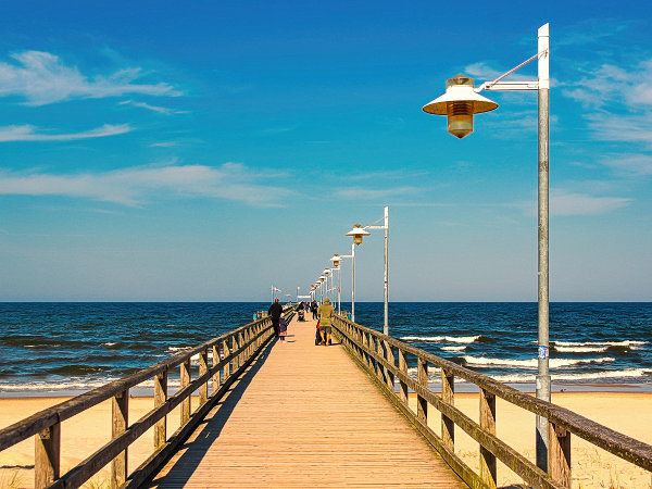 fewo-bansin-usedom-vogel-seebruecke